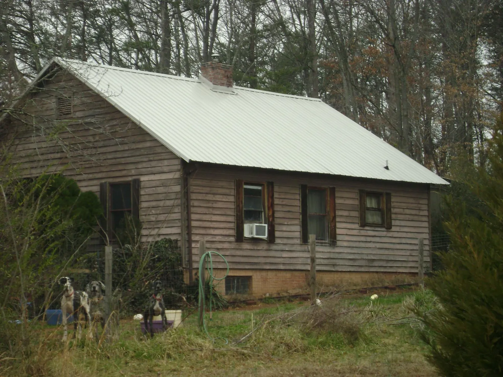 White metal roof on an old wood sided farmhouse, from a Asphalt Shingle Roof Repair job in Clio